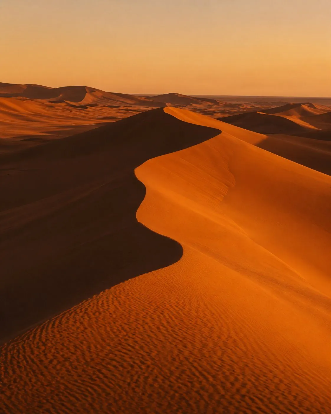 Sahara dunes at sunset
